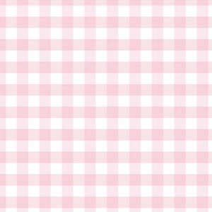 Magnolia - Check Light Pink from Andover Fabrics