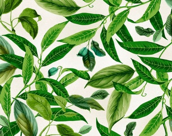 Lanai - Leaves Cream from Maywood Studio Fabric