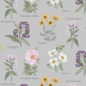 Botanic Garden - Flower Names Light Grey from Lewis and Irene Fabric