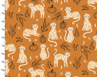Troppo carini per spaventare - Gattini carini arancioni di 3 Wishes Fabric