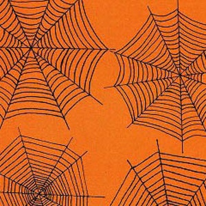 Scaredy Cat - Orange Spider Webs from Wilmington Prints