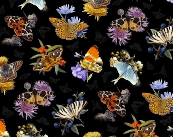 Butterflies and Moths - Large Moths Black from Elizabeth’s Studio Fabric