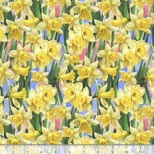 Daffodil Just Hatched - Daffodils from Timeless Treasures Fabric