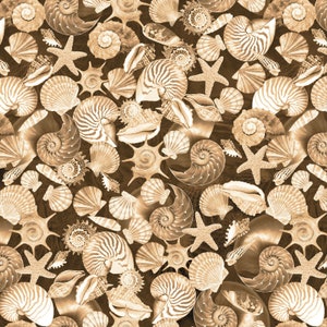 Oceana - Shells Sand from Kanvas Studio Fabric
