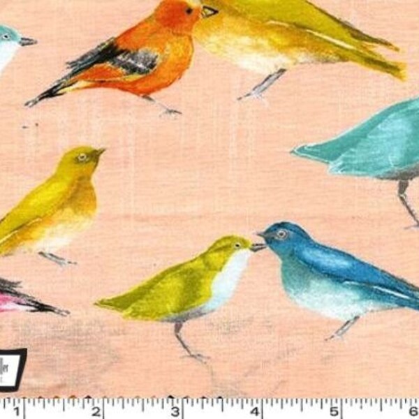 Flutter - Birdies Candy - Cotton Fabric by Laura Gunn from Michael Miller