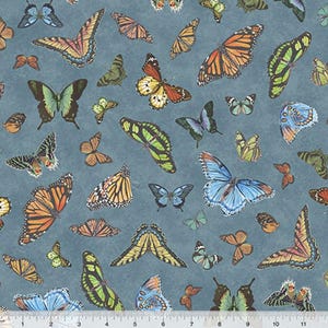 Butterfly Collector - Lepidoptery Classic Blue from Windham Fabrics