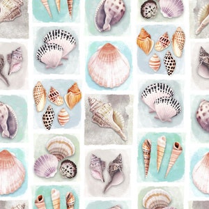 Könnte beinhalten: Eine Aquarell-Illustration verschiedener Muscheln in verschiedenen Formen, Größen und Farben. Die Muscheln sind in einem Rastermuster auf einem weißen Hintergrund mit hellblauen und grauen Aquarell-Akzenten angeordnet.