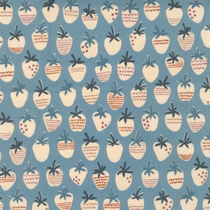 Linnea OXFORD - Strawberry Blue from Kokka Fabric