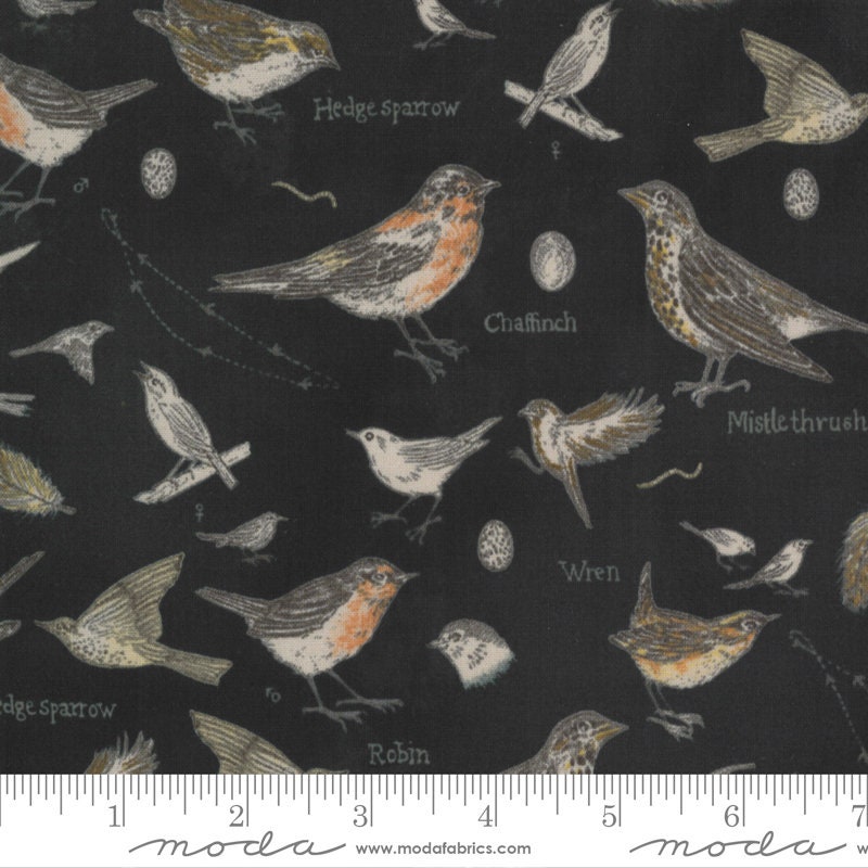 Botanicals - Birds Charcoal 16910 16 by Janet Clare from Moda Fabrics