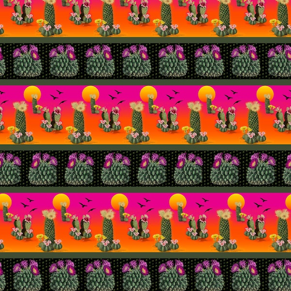 Cactus Bloom - Cactus Border Stripe Orange from Blank Quilting Corporation Fabrics