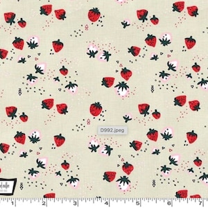 Curiosity - Strawberry Delight Bisque from Michael Miller Fabric
