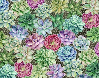 Botanical - Succulents by Jason Yenter from In The Beginning Fabric