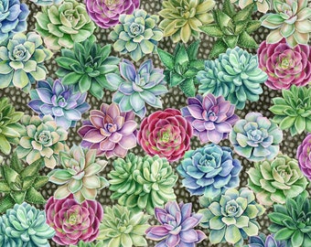 Botanical - Succulents by Jason Yenter From in the Beginning 