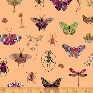 Curio - Bugs Peach Pink by Betsy Olmsted from Windham Fabrics