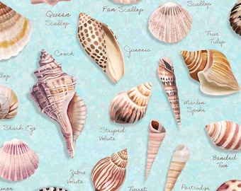 Seashell Wishes - Shells Lt Aqua by Diane Neukirch from Clothworks Fabric