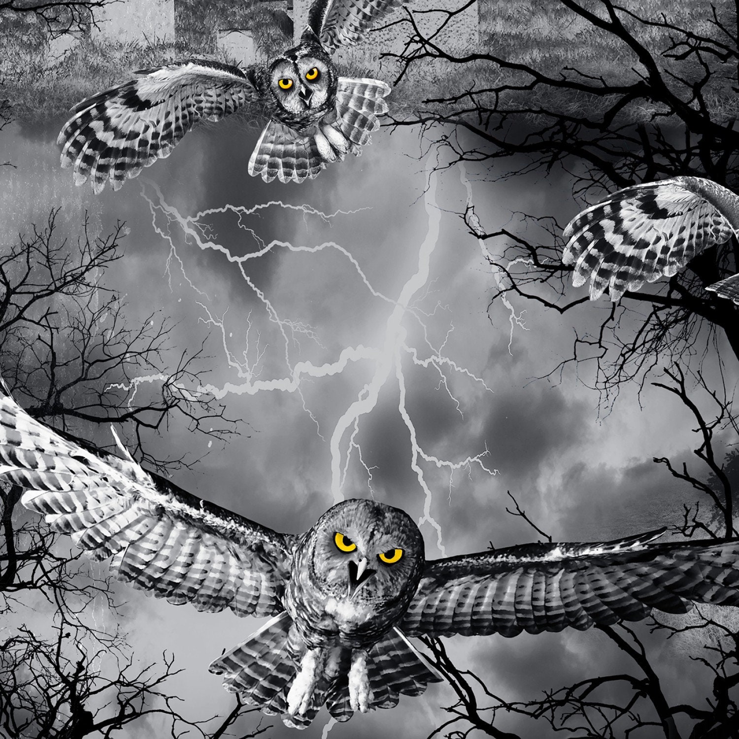 Wicked Fog - Night Fog Owls from Timeless Treasures Fabric