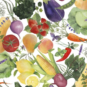 Locally Grown - Veggie Toss White by Beth Albert from 3 Wishes Fabric