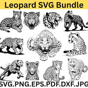 May include: A black and white Leopard SVG bundle featuring various leopard illustrations. The designs include full body poses, headshots, and a cub. The text "Leopard SVG Bundle" is at the top, and file type options are listed at the bottom.