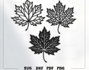Leaf Ornament SVG - Decorative Leaf Flourish - Nature DXF Laser Cut File Cricut CNC Download