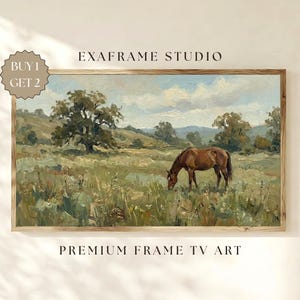 May include: A framed landscape painting depicts a brown horse grazing in a grassy field under a cloudy sky. The artwork, with a wooden frame, is labeled "EXAFRAME STUDIO" and "PREMIUM FRAME TV ART."