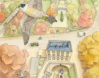 A4 print - Peregrine over Sydney Gardens, Bath