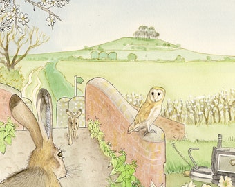 Barn Owl at Woodborough Bridge (A4 size print)