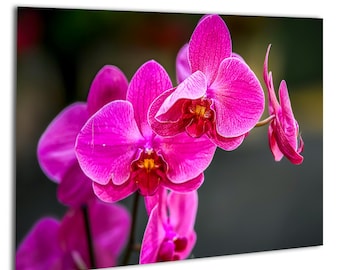 Pink Orchid Photography Print – Tropical Floral Wall Art (Digital Download)