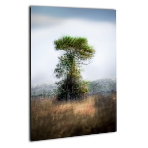 May include: A vertical art print featuring a solitary tree with a full, green crown against a soft, blurred background. The tree's trunk is visible, and it stands in a field of tall, golden grass. The sky is a pale blue.