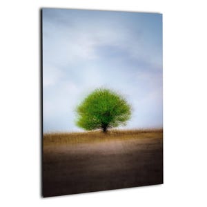 May include: A vertical print of a tree with a vibrant green crown against a soft blue sky. The tree stands on a blurred, golden-brown field, creating a serene landscape. The artwork is mounted on a white background.