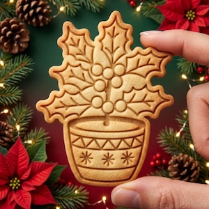 May include: A light brown, baked biscuit shaped like a potted holly plant. The biscuit features embossed details of holly leaves and berries emerging from a decorative pot with a geometric triangle pattern and three star-like symbols at the base.