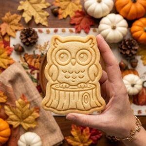 May include: A light tan, owl-shaped cookie with embossed details showing an owl perched on a tree stump. The cookie features large circular eyes, a small beak, and textured wing and chest feathers, with a spiral pattern visible on the tree stump base.