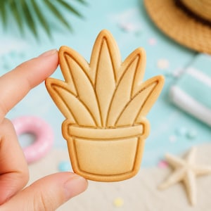 May include: A light tan, flat, baked cookie shaped like a potted succulent plant. The cookie features a smooth surface with embossed lines defining the leaves of the plant and the structure of the round pot at the base, creating a clear, simple outline.