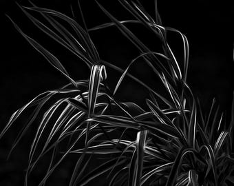 In the Weeds