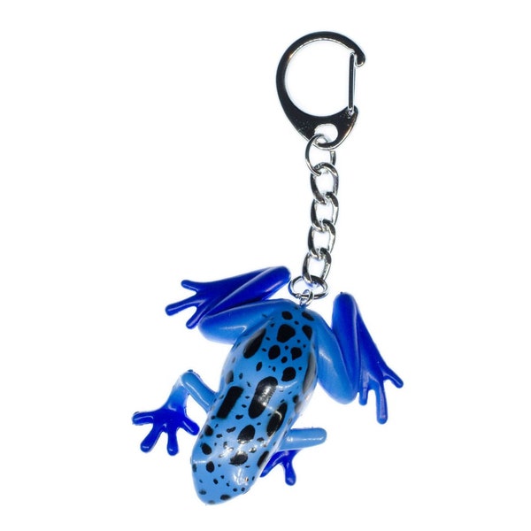 Grenouille de grenouille poison Porte-cle Porte-cles de la collierBleu