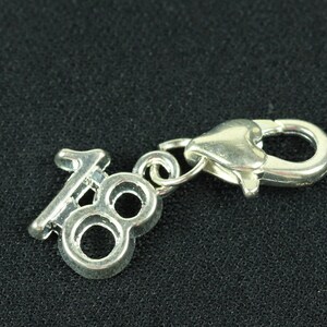 Number Eighteen 18 Charm Pendant Bracelet Wristlet Miniblings Birthday Numbers
