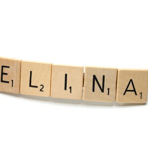 ELINA Initialen Hair Clip Clasp Pin Badge Button Clipper Saying Quote Miniblings