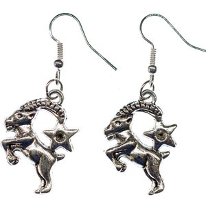 Capricorn Star Earrings Miniblings Sign Astrological Constellation