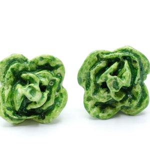 Salade Dormeuses Miniblings cuisson cuire la laitue iceberg vert