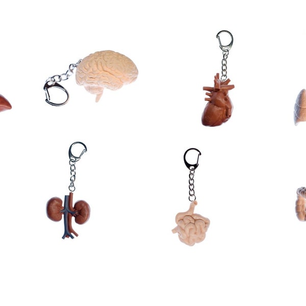 8x Organs Set Key Ring Key Chains Miniblings Human Anatomy Doctor Halloween