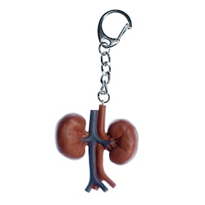 Kidney Key Ring Chain Miniblings Ring Organ Human Anatomy