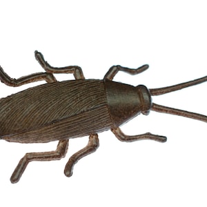 May include: A brown plastic cockroach toy. The toy has a segmented body and six legs.