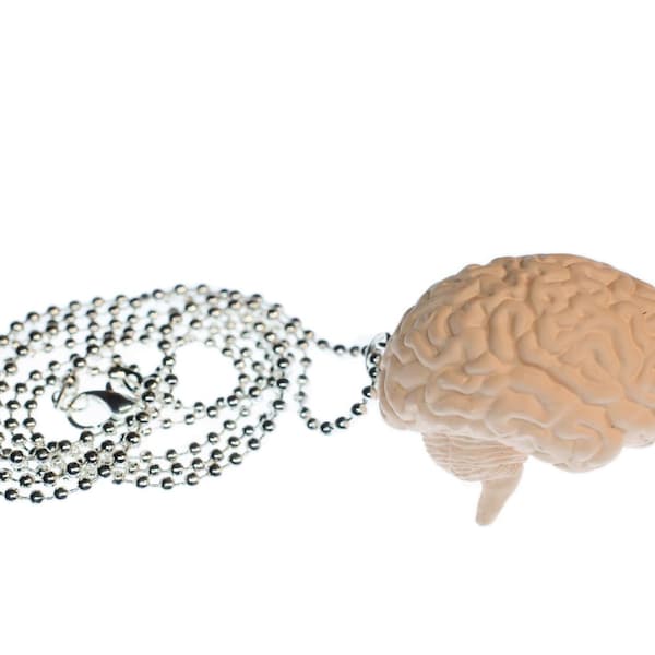 organe medecine anatomie collier cerveau Miniblings QI cerveau Zombie