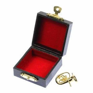 Könnte beinhalten: Eine kleine goldfarbene Tuba in einer schwarzen, mit Samt ausgekleideten Box mit einem goldenen Verschluss.