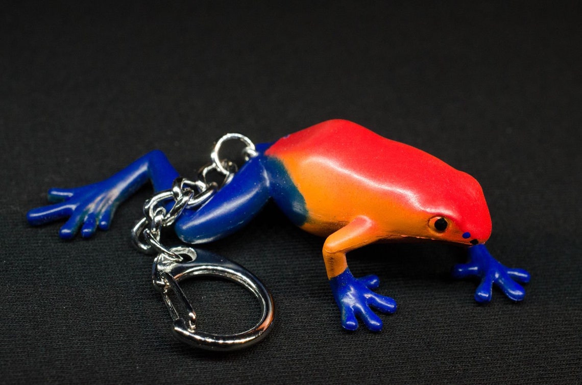 Frog Key Ring Chain Miniblings Frogs Blue Orange Etsy
