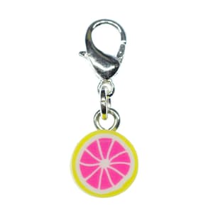 Grapefruit Charm Miniblings zipper pull pendant orange lime fruit slice