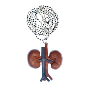 Kidney Necklace Miniblings 80Cm Anatomy Internal Medicine Organ Urine