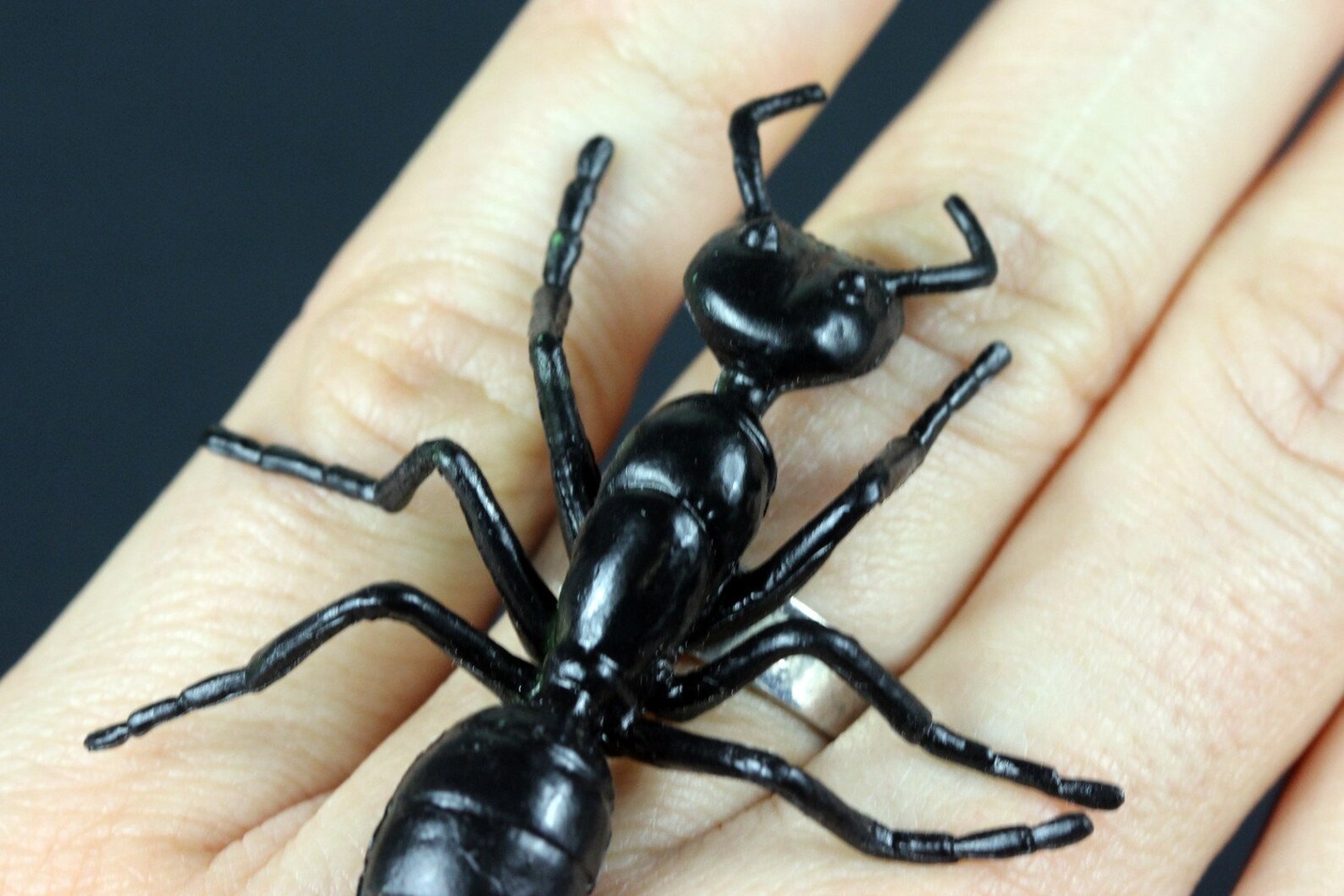 Ants Ring Ant Miniblings Halloween Horror Insect 5cm - Etsy