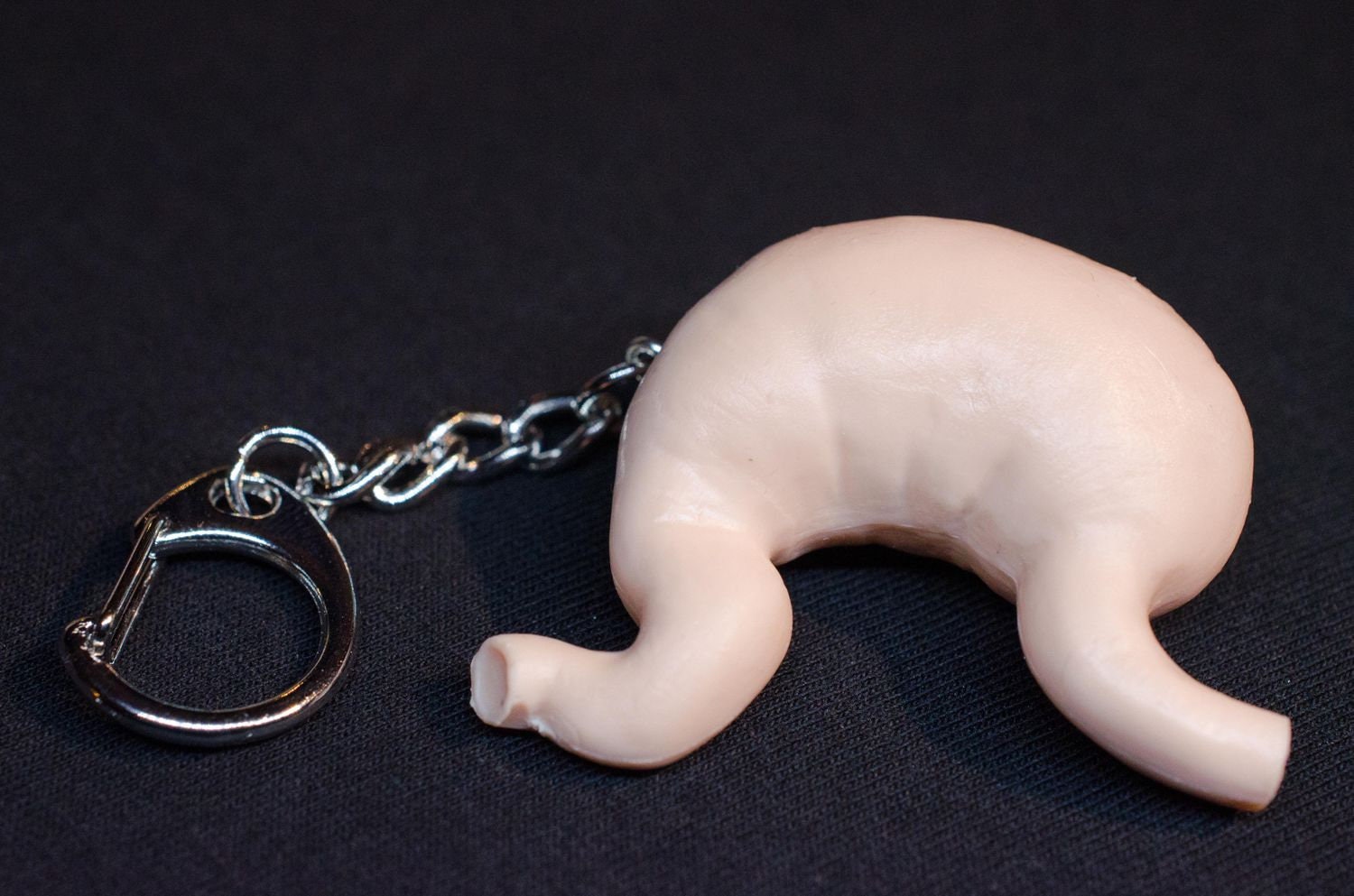 Digestive Key Ring Stomach Key Ring Chain Miniblings Kids Children Organ Human Anatomy ...