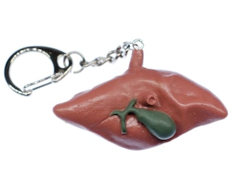 Liver Key Ring Chain Miniblings Kids Children Organ Human Anatomy Medicine