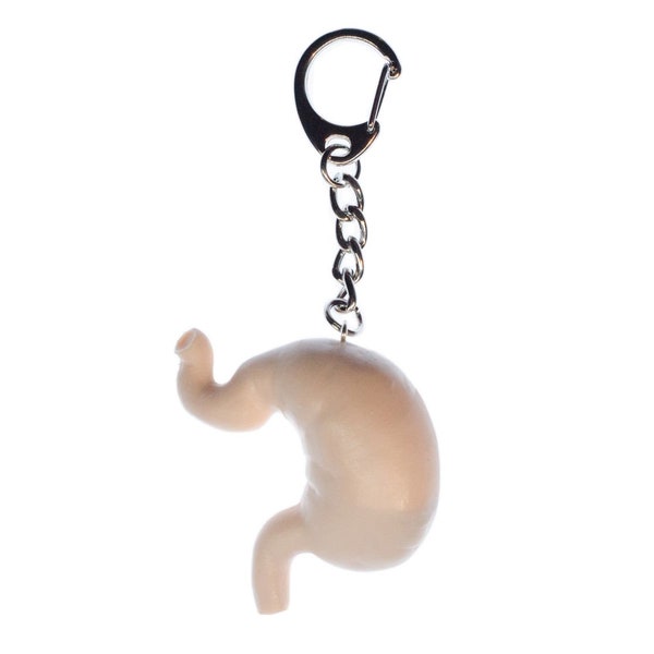 Stomach Key Ring Chain Miniblings Kids Children Organ Human Anatomy Halloween